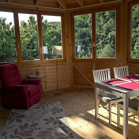 Idyllische Ferienwohnung In Zentrumsnaehe ドレスデン エクステリア 写真