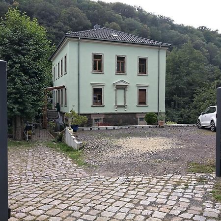 Idyllische Ferienwohnung In Zentrumsnaehe ドレスデン エクステリア 写真