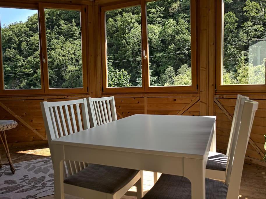 Idyllische Ferienwohnung In Zentrumsnaehe ドレスデン エクステリア 写真
