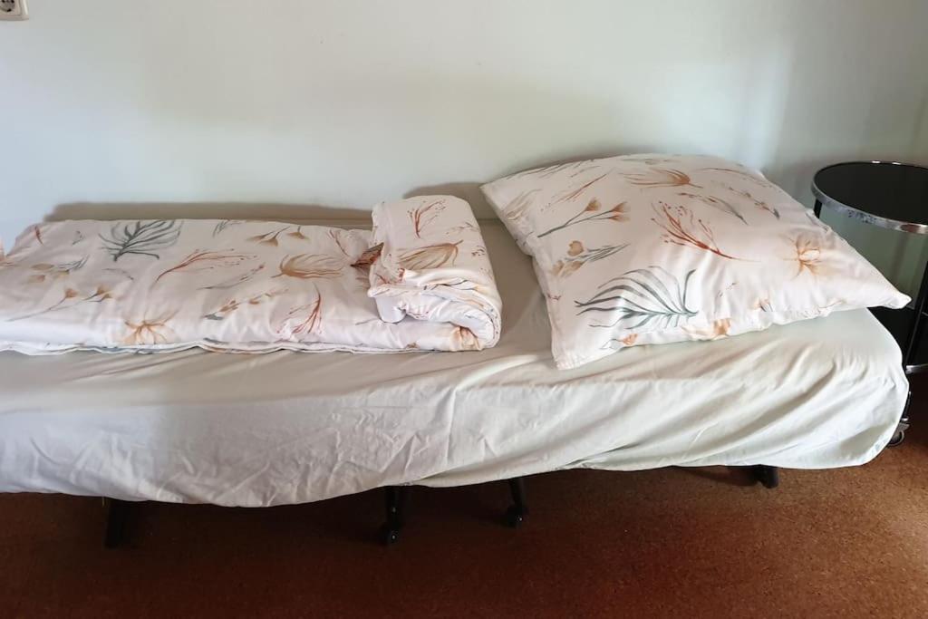 Idyllische Ferienwohnung In Zentrumsnaehe ドレスデン エクステリア 写真