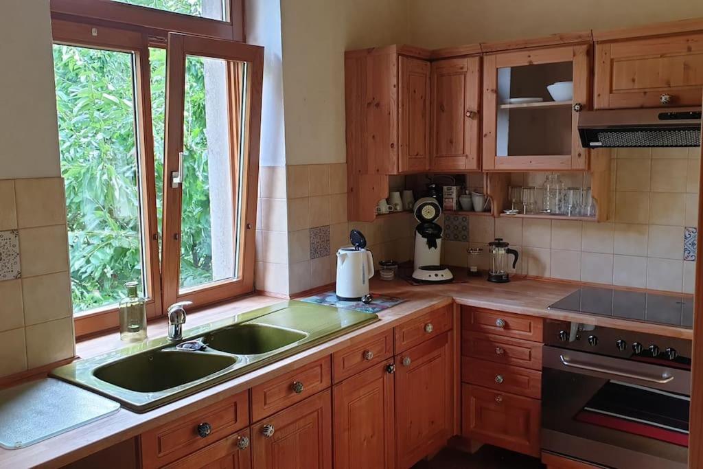 Idyllische Ferienwohnung In Zentrumsnaehe ドレスデン エクステリア 写真