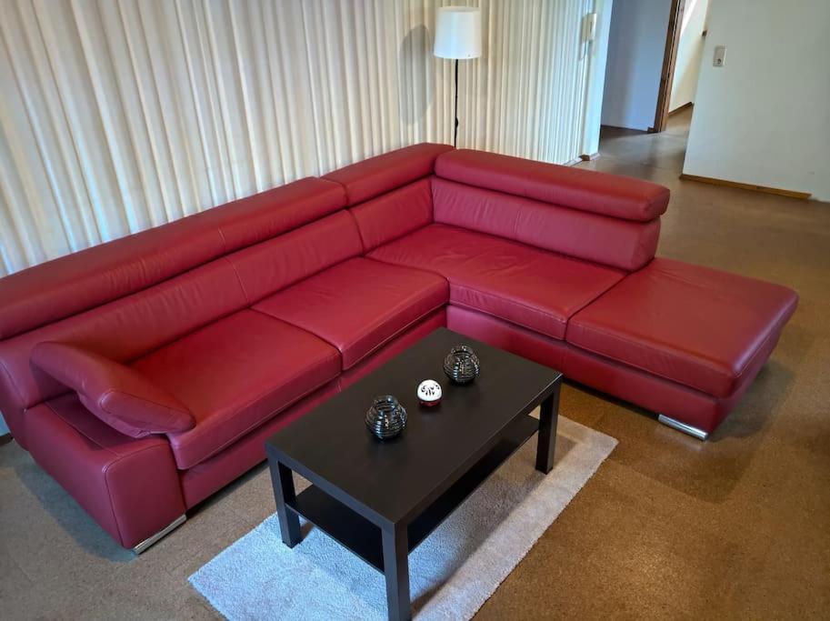 Idyllische Ferienwohnung In Zentrumsnaehe ドレスデン エクステリア 写真