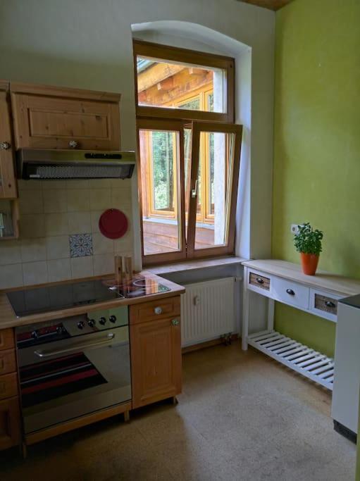 Idyllische Ferienwohnung In Zentrumsnaehe ドレスデン エクステリア 写真