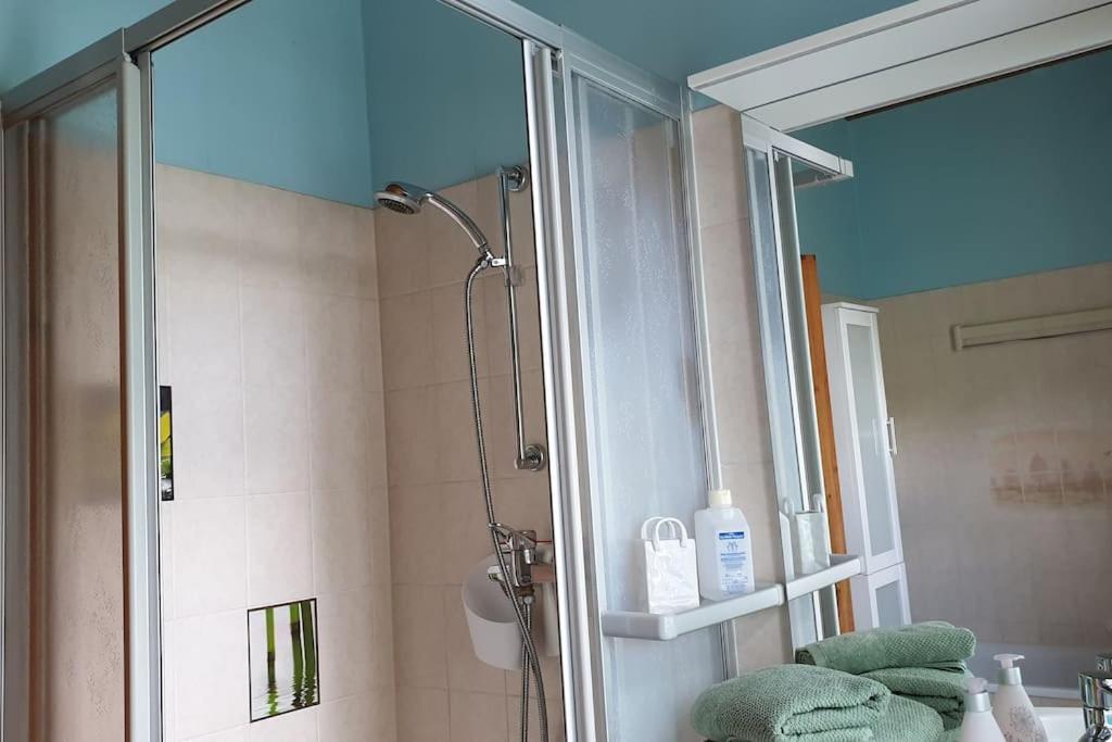 Idyllische Ferienwohnung In Zentrumsnaehe ドレスデン エクステリア 写真