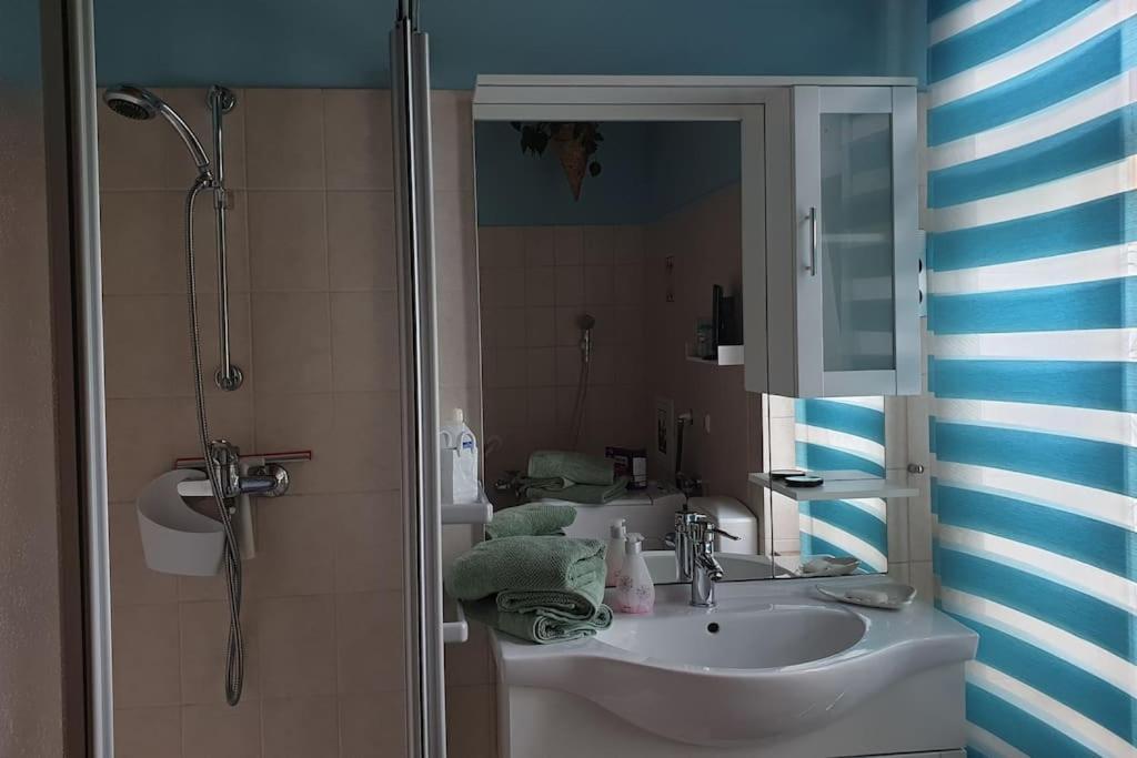 Idyllische Ferienwohnung In Zentrumsnaehe ドレスデン エクステリア 写真