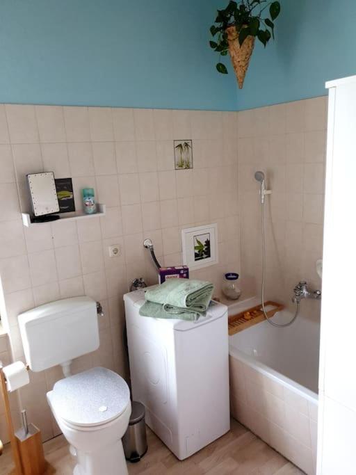 Idyllische Ferienwohnung In Zentrumsnaehe ドレスデン エクステリア 写真